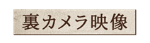 番組の見出しテロップ